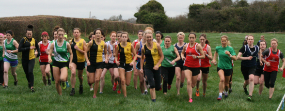 Screen Shot 2015-11-15 at 16.19.22